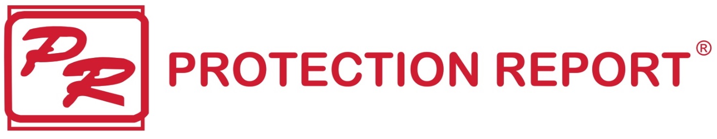 Protection Report 2019